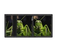 LYDSKGEQ Grasshopper on Grass Slim Rfid Blocking Trifold Wallet for Men Minimalist Front Zipper Pocket 8 Card Slots 1 Id Window & Key Hook Lightweight Credit Card Holder for Work Traveling