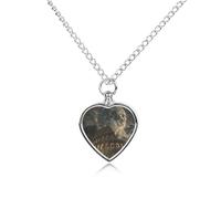 LYDSKGEQ Rome Moon Shines Urn Necklaces for Ashes Personalized Human Pet Cremation Jewelry Customized Keepsake Locket Pendant with Filling Kit Memorial Gift for Dog Cat Lover Women Men(Heart)