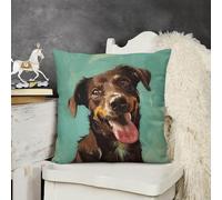 LYDSKGEQ Soft Cozy Throw Pillow Covers Dog Smiling Decorative Cushion Covers 26x26 Plush Boho Farmhouse Pillow Case with Zipper Throw Pillowcase for Bed Sofa Living Room Bedroom