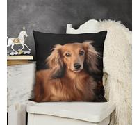 LYDSKGEQ Soft Cozy Throw Pillow Covers Long Haired Dachshund Decorative Cushion Covers 16 "x16 Plush Boho Farmhouse Pillow Case with Zipper Throw Pillowcase for Bed Sofa Living Room Bedroom
