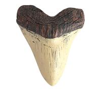 LYEAA 5inch Giant Megalodon Tooth Easy Clean Tooth Replica Home Decoration Beige Teeth Marine Bology Teaching Props Gifts