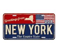 LYEAA Vintage Metal Plate License New York Rectangular Iron Painting Wall Decor30x15cm (2)