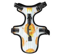 Lyeorm Cartoon Lions Dog Harness Adjustable Soft Oxford Pet Vest No Pull Reflective Dog Vest Harness with Handle for Walking Training, M