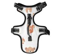 Lyeorm Cute Bears Squirrels Dog Harness Adjustable Soft Oxford Pet Vest No Pull Reflective Dog Vest Harness with Handle for Walking Training, M