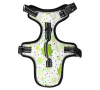 Lyeorm Cute Green Frogs Dog Harness Adjustable Soft Oxford Pet Vest No Pull Reflective Dog Vest Harness with Handle for Walking Training, S