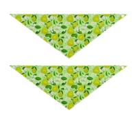 Lyeorm Green Pears Dog Bandanas 2PCS Washable Kerchief Scarf Reversible Triangle Bibs for Small Medium Large Dogs & Pet