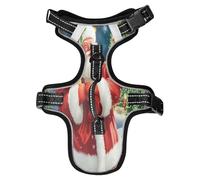 Lyeorm Santa Claus Standing Dog Harness Adjustable Soft Oxford Pet Vest No Pull Reflective Dog Vest Harness with Handle for Walking Training, S