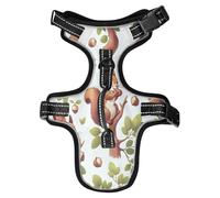 Lyeorm Tree Squirrel Dog Harness Adjustable Soft Oxford Pet Vest No Pull Reflective Dog Vest Harness with Handle for Walking Training, M