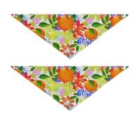 Lyeorm Vibrant Oranges and Leaves Dog Bandanas 2PCS Washable Kerchief Scarf Reversible Triangle Bibs for Small Medium Large Dogs & Pet