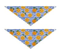 Lyeorm Vibrant Oranges Dog Bandanas 2PCS Washable Kerchief Scarf Reversible Triangle Bibs for Small Medium Large Dogs & Pet