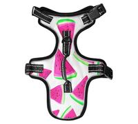Lyeorm Watermelon Slices Dog Harness Adjustable Soft Oxford Pet Vest No Pull Reflective Dog Vest Harness with Handle for Walking Training, S