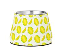 Lyeorm Yellow Melons Elevated Dog Bowls, Non-Slip Stainless Steel Raised Dog Food Bowl for Small Medium Large Pet