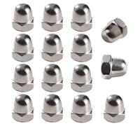 Lyeteung 15 PCS M8 Stainless Steel Cap Nuts, Domed Head Top Hex Nuts, Acorn Decorative Hex Cap Nuts, for Screws, Bolts
