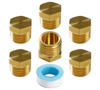 Lyeteung 6 PCS G1/4 Brass Hexagonal External Thread Cap, Brass Blanking Stop Caps, Hose Caps, with Raw Material Tape, for Valve Pipe Fittings
