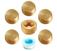 Lyeteung 6 PCS G1/4 Male Thread Brass Internal Hex Head, Brass Blanking Stop Caps, Hose Caps Hexagonal Brass Fitting Pipe Cap, with Raw Material Tape, for Valve Pipe Fittings