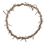 LYFOOHEART Wearable crown of thorns, Jesus Crown for Lent, Holy Crown for Decoration (8 Inch)