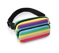 Lyfthologen Waist Bag, Rainbow Colored Horizontal Striped Lines Bumbag, Adjustable Fanny Pack for Running Walking Hiking