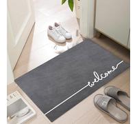 LYGLIGH Welcome Mat Indoor, Ultra Thin Door Mat, 1/10 in Thin Door Mats for Inside Entry, Non-Slip Rubber Backing, Washable Doormat, Fade Resistant, Absorbent, Low Profile Dirt Trapper, 35"X24",Grey