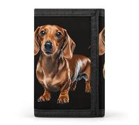LYHVSFJW Beige Simple Doodle TriFold Wallet with 8 Card Slots, Slim Zipper Coin Pocket, Divided Billfold for Men Women, Dachshund Weiner Pet Dog, One Size, Modern