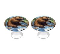 LYHVSFJW Busy Beaver Cartoon 2 Pack Cabinet Knobs Drawer Pulls Decorative Stainless Steel Dresser Knobs Bathroom Furniture Cabinet Hardware for Kitchen, Door & Drawer, Wardrobe, Cupboard