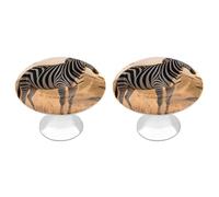 LYHVSFJW Grevy's Zebra on Grassland 2 Pack Cabinet Knobs Drawer Pulls Decorative Stainless Steel Dresser Knobs Bathroom Furniture Cabinet Hardware for Kitchen, Door & Drawer, Wardrobe, Cupboard