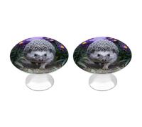 LYHVSFJW Hedgehog Through Asters 2 Pack Cabinet Knobs Drawer Pulls Decorative Stainless Steel Dresser Knobs Bathroom Furniture Cabinet Hardware for Kitchen, Door & Drawer, Wardrobe, Cupboard