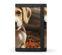 LYHVSFJW Hedgehog TriFold Wallet with 8 Card Slots, Slim Zipper Coin Pocket, Divided Billfold for Men Women, Cute Beagle, One Size, Modern