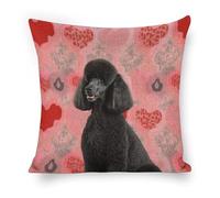 LYHVSFJW Poodles Dogs Throw Pillow Covers Decorative Linen Cushion Case Boho Farmhouse Pillowcase Soft Double-Sided Cushion Covers for Sofa Couch Bedroom Living Room Home Decor 18"x18"