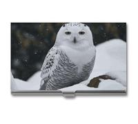 LYHVSFJW Slim Metal Business Card Holder - Chicago Skyline Aluminum Alloy Card Case with Buckle Closure, Holds 20 Cards & Cash, Professional Credit Card Size ID Holder for Men Women Gift, Snow Owl