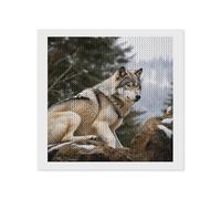 LYHVSFJW Snow Mountain Wild Wolf Diamond Art Kits for Adults Diamond Painting Kits for Beginners Diamonds Art Painting 5d DIY Full Drill Round Gem Arts Crafts Paintings for Home Wall Decor 12"x12"