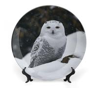LYHVSFJW Snow Owl Ceramic Decorative Plate 7inch Bone China Decorative Personalized Boho Plates with Display Stand, Ceramic Ornaments Dessert Plates for Home Decor Dinner