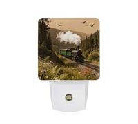 LYHVSFJW Steam Car in The Woods Night Light Plug-in Wall Smart LED Nightlights with Soft Glow for Bedroom, Bathroom, Hallway Dusk to Dawn Sensor Energy Efficient Wall Outlet Lamp for Home Safety