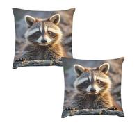 LYHVSFJW Throw Pillow Covers Set of 2 - Cute Raccoon Double-Sided Square Decorative Pillow Cases for Couch, Bed, Sofa, Soft Plush Cushion Covers Without Insert 12 "x12