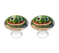 LYHVSFJW Watermelon with Smiley Cabinet Knobs 2 Pack Drawer Pulls Decorative Stainless Steel Dresser Knobs with 2 Screw Bathroom Furniture Hardware for Kitchen, Door & Drawer, Wardrobe, Cupboard