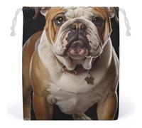 LYHVSFZQ Storage Bags Makeup Bag English Bulldog Printed Toy Bag Reusable Bags Toiletry Organizer Multi Purpose Home Travel Pouch, style, 20*25cm, Contemporary