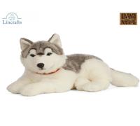 Lying Husky Dog Plush Soft Toy - 65cm - Living Nature AN478