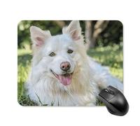 Lying on The Grass Mouse Pad Square Laptop Mouse Mat Cute Computer Mousepad Keyboard Pad Non-Slip Desk Pads for Gaming Office Work Home 20 * 25cm