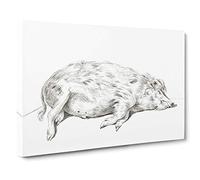 Lying Pig by Jean Bernard Canvas Print | Gallery Wrapped 30mm Frame Wall Art | 30x20 inches | Ready to Hang | Modern Animals Picture | Living Room Bedroom Lounge Office