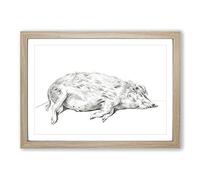 Lying Pig by Jean Bernard Framed Print | A2 Oak Framed Wall Art | Ready to Hang | Modern Nature Picture | Living Room Bedroom Lounge Office