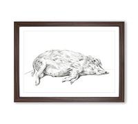 Lying Pig by Jean Bernard Framed Print | A2 Walnut Framed Wall Art | Ready to Hang | Modern Nature Picture | Living Room Bedroom Lounge Office