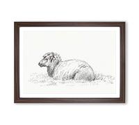 Lying Sheep by Jean Bernard Framed Print | A2 Walnut Framed Wall Art | Ready to Hang | Modern Animal Picture | Living Room Bedroom Lounge Office