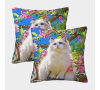LYJSMDAAA 3D Printed Cute Cat Cushion Covers Set Sofa Home Decor Set of 2 Decorative Square Pillow Home Decorative for Men/Women Living Room Bedroom Sofa Chair Pillowcase 40x40cm