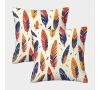 LYJSMDAAA 3D Printed Feather Pattern Cushion Cover Shells for Couch Pack of 2 Cushion Covers Square Throw Pillow Home Decorative for Couch Outdoor Sofa Bedroom Living Room 40x40cm