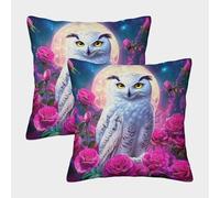 LYJSMDAAA 3D Printed Owl Cushion Cover Sofa Couch Home 2 PCS Printed Pillowcases Decorative Square Pillow Cover Cushion Covers for Sofa Car Home Decor 45x45cm