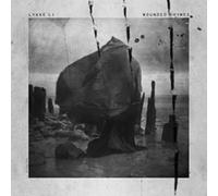 Lykke Li - Wounded Rhymes