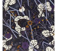 Lyla Foy - Mirrors The Sky