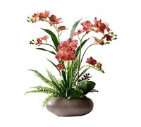 LYLXSF Artificial Flowers Modern Artificial Flower Artificial Phalaenopsis Ceramic Vase Set, Artificial Fake Flower Bonsai Bonsai, Home Hotel Decoration Flor