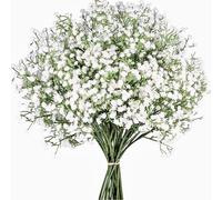 LYLYFAN 12 Pcs Babys Breath Artificial Flowers, Gypsophila Real Touch Flowers for Wedding Party Home Garden Decoration