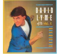 LYME, David - Hits Vol 2 - Vinyl (12")