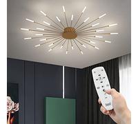 LYMSXAZOU Modern Fireworks Ceiling Light With Remote Control, LED Creative Flower Shape Lamp Fixture Nordic Semi-Flush Mount Acrylic Lighting For Living Dining Room Bedroom (Gold,30-Light)